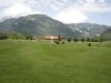 DSC00018.JPG